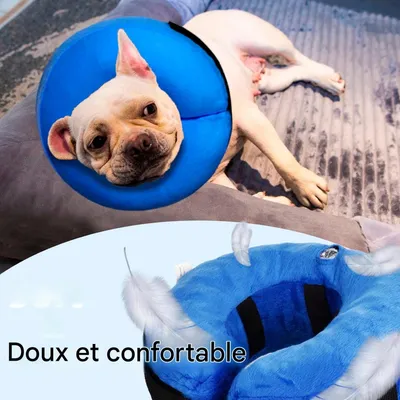 FurryFusion Collier gonflable pour chien et chat anti-morsure FurryFusion Collier gonflable pour chien et chat anti-morsure