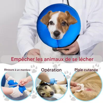 FurryFusion Collier gonflable pour chien et chat anti-morsure FurryFusion Collier gonflable pour chien et chat anti-morsure