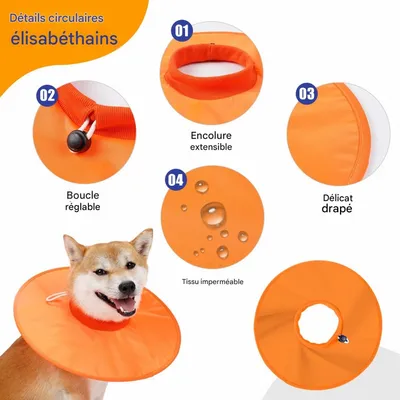 FurryFusion Chapeau anti-lick et anti-morsure pour chat FurryFusion Chapeau anti-lick et anti-morsure pour chat