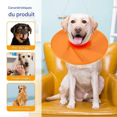 FurryFusion Chapeau anti-lick et anti-morsure pour chat FurryFusion Chapeau anti-lick et anti-morsure pour chat