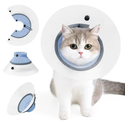 FurryFusion Collier anti-morsure pour chat après stérilisation FurryFusion Collier anti-morsure pour chat après stérilisation