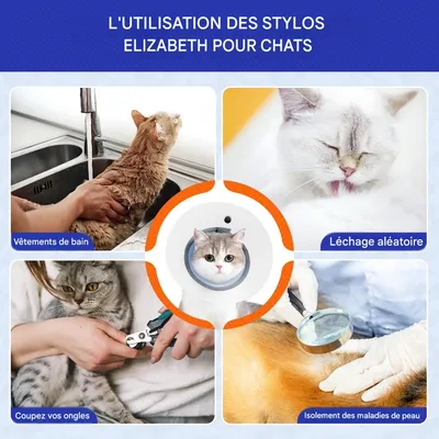 FurryFusion Collier anti-morsure pour chat après stérilisation FurryFusion Collier anti-morsure pour chat après stérilisation