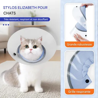 FurryFusion Collier anti-morsure pour chat après stérilisation FurryFusion Collier anti-morsure pour chat après stérilisation