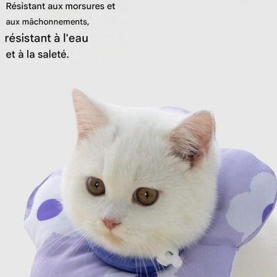 FurryFusion Collier anti-salive et anti-lick pour chats et chiens