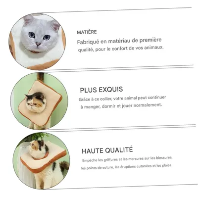 FurryFusion Collier de protection ajustable pour chats et chiens FurryFusion Collier de protection ajustable pour chats et chiens