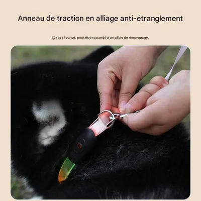 FurryFusion Collier lumineux pour chien FurryFusion Collier lumineux pour chien