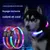 FurryFusion Collier lumineux pour chien FurryFusion Collier lumineux pour chien