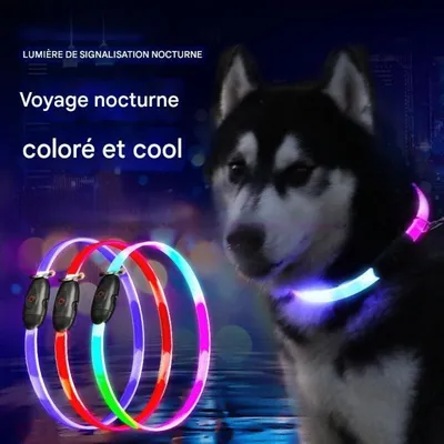FurryFusion Collier lumineux pour chien FurryFusion Collier lumineux pour chien