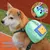 HausPets Sac à dos et harnachement pour petits chiens HausPets Sac à dos et harnachement pour petits chiens