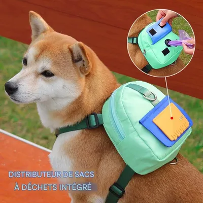 HausPets Sac à dos et harnachement pour petits chiens HausPets Sac à dos et harnachement pour petits chiens