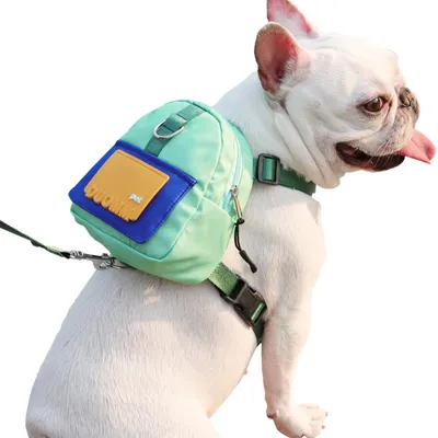 HausPets Sac à dos et harnachement pour petits chiens HausPets Sac à dos et harnachement pour petits chiens