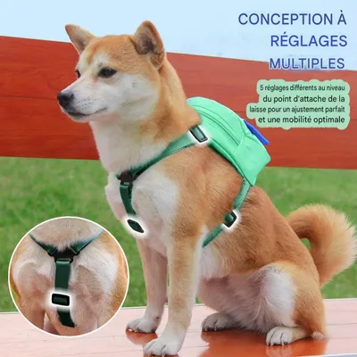 HausPets Sac à dos et harnachement pour petits chiens HausPets Sac à dos et harnachement pour petits chiens