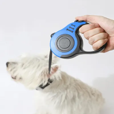 PetTribes Laisse Rétractable Chien Chat PetTribes Laisse Rétractable Chien Chat