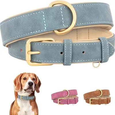 HausPets Collier Réglable Cuir Rembourré Bleu Taille L Chiens Grands HausPets Collier Réglable Cuir Rembourré Bleu Taille L Chiens Grands