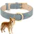 HausPets Collier Réglable Cuir Rembourré Bleu Taille L Chiens Grands HausPets Collier Réglable Cuir Rembourré Bleu Taille L Chiens Grands
