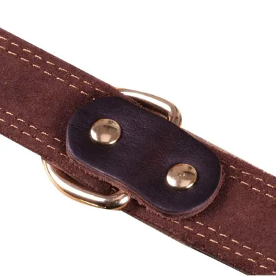 MCBOSON Brun XS Cuir Véritable Personnalisé Collier Chien