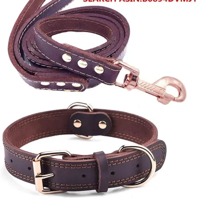 MCBOSON Brun XS Cuir Véritable Personnalisé Collier Chien
