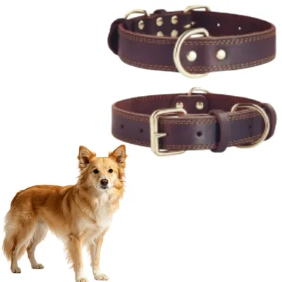 MCBOSON Collier personnalisé en cuir véritable pour chien, marron, XS