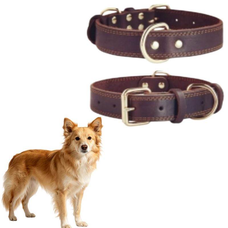 MCBOSON Brun XS Cuir Véritable Personnalisé Collier Chien