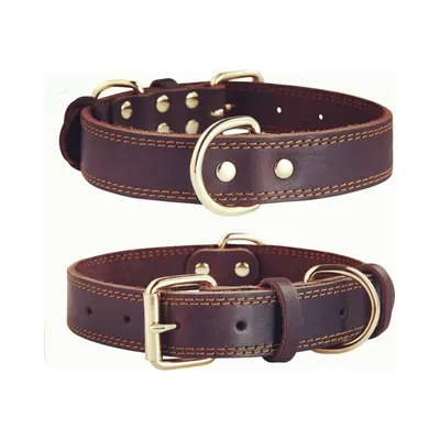 MCBOSON Brun XS Cuir Véritable Personnalisé Collier Chien
