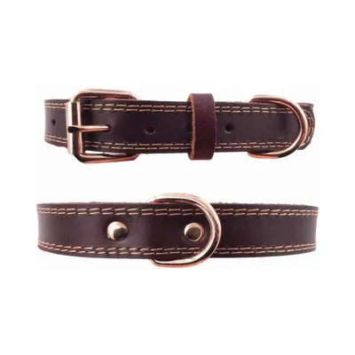 MCBOSON Brun XS Cuir Véritable Personnalisé Collier Chien