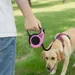 PetTribes Laisse Rétractable Chien Chat