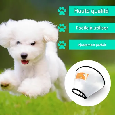 FurryFusion Collier anti-lick en mousse pour chats et chiens FurryFusion Collier anti-lick en mousse pour chats et chiens