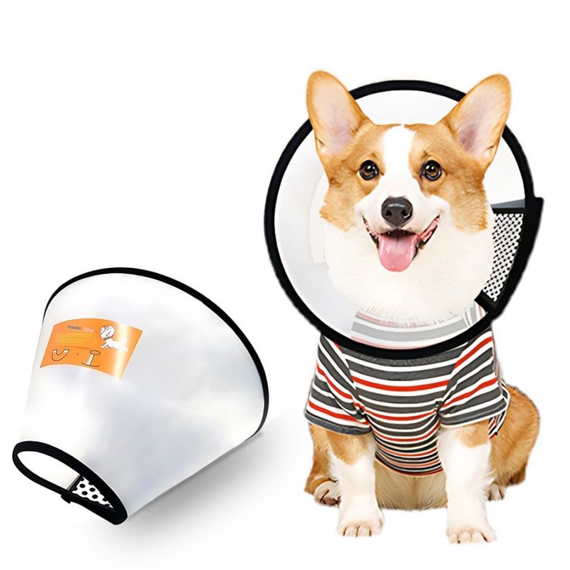 FurryFusion Collier anti-lick en mousse pour chats et chiens