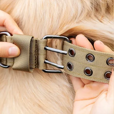 FurryFusion Collier pour chien de grande et moyenne taille FurryFusion Collier pour chien de grande et moyenne taille