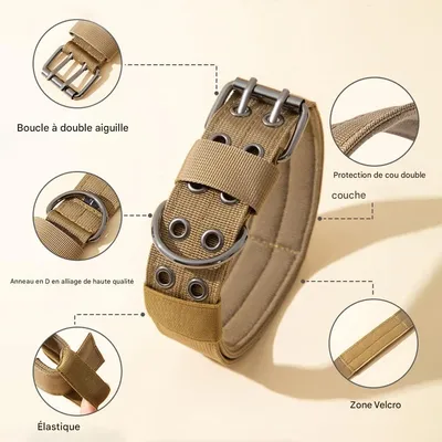 FurryFusion Collier pour chien de grande et moyenne taille FurryFusion Collier pour chien de grande et moyenne taille