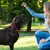 FurryFusion Collier pour chien avec fils réfléchissants FurryFusion Collier pour chien avec fils réfléchissants