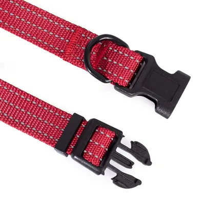 FurryFusion Collier pour chien avec fils réfléchissants FurryFusion Collier pour chien avec fils réfléchissants