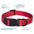 FurryFusion Collier pour chien avec fils réfléchissants FurryFusion Collier pour chien avec fils réfléchissants