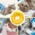 FurryFusion Collier anti-lick pour chats et chiens après stérilisation FurryFusion Collier anti-lick pour chats et chiens après stérilisation