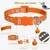 FurryFusion Collier en tresse pour chat et chien FurryFusion Collier en tresse pour chat et chien