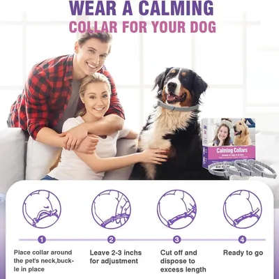 HausPets Lot de 4 Colliers Calmant Chien 63,5 Jours Réglable Toutes Tailles HausPets Lot de 4 Colliers Calmant Chien 63,5 Jours Réglable Toutes Tailles