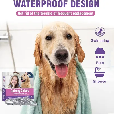 HausPets Lot de 4 Colliers Calmant Chien 63,5 Jours Réglable Toutes Tailles HausPets Lot de 4 Colliers Calmant Chien 63,5 Jours Réglable Toutes Tailles
