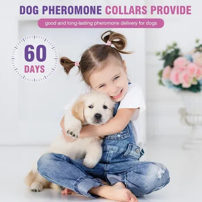 HausPets Lot de 4 Colliers Calmant Chien 63,5 Jours Réglable Toutes Tailles HausPets Lot de 4 Colliers Calmant Chien 63,5 Jours Réglable Toutes Tailles