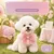 HausPets Bandeau de mode princesse pour chiens et chats HausPets Bandeau de mode princesse pour chiens et chats