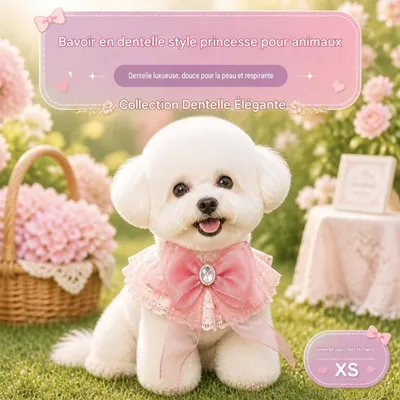 HausPets Bandeau de mode princesse pour chiens et chats HausPets Bandeau de mode princesse pour chiens et chats
