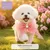HausPets Bandeau de mode princesse pour chiens et chats HausPets Bandeau de mode princesse pour chiens et chats