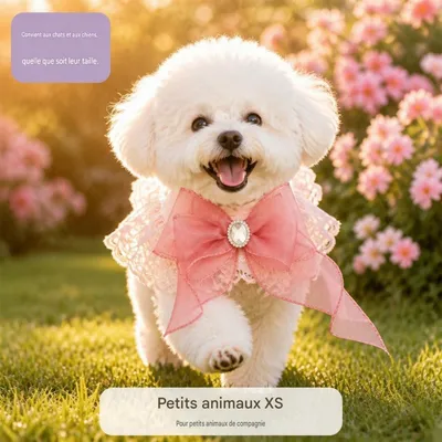 HausPets Bandeau de mode princesse pour chiens et chats HausPets Bandeau de mode princesse pour chiens et chats