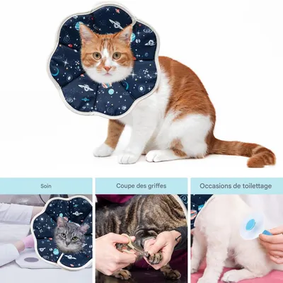 FurryFusion Chapeau anti-lick pour animaux stérilisés FurryFusion Chapeau anti-lick pour animaux stérilisés