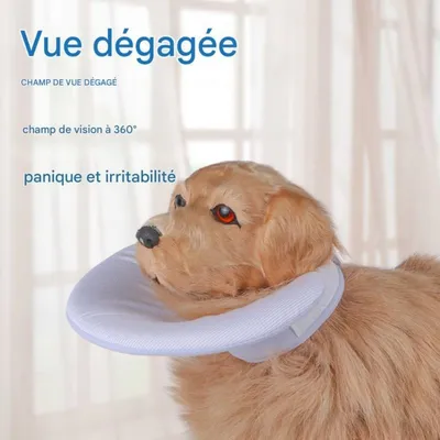 FurryFusion Bandeau anti-lick pour animaux de compagnie FurryFusion Bandeau anti-lick pour animaux de compagnie