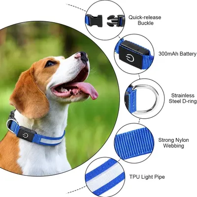 HausPets Collier Lumineux LED Rechargeable Bleu Taille L Chiens HausPets Collier Lumineux LED Rechargeable Bleu Taille L Chiens