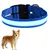 HausPets Collier Lumineux LED Rechargeable Bleu Taille L Chiens HausPets Collier Lumineux LED Rechargeable Bleu Taille L Chiens