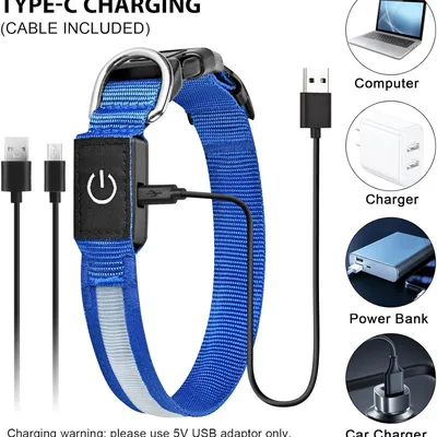 HausPets Collier Lumineux LED Rechargeable Bleu Taille L Chiens HausPets Collier Lumineux LED Rechargeable Bleu Taille L Chiens