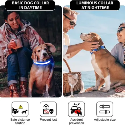 HausPets Collier Lumineux LED Rechargeable Bleu Taille L Chiens HausPets Collier Lumineux LED Rechargeable Bleu Taille L Chiens