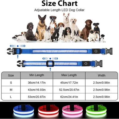 HausPets Collier Lumineux LED Rechargeable Bleu Taille L Chiens HausPets Collier Lumineux LED Rechargeable Bleu Taille L Chiens