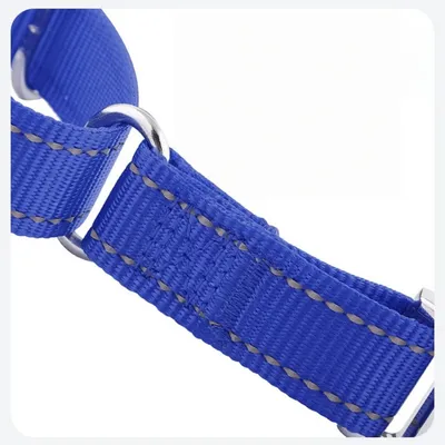 FurryFusion Collier en neoprène pour chiens de taille moyenne et grande